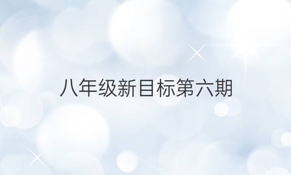 八年级新目标第六期（SYX）英语周报答案