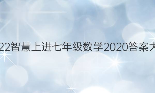 2022智慧上进七年级数学2020答案大全
