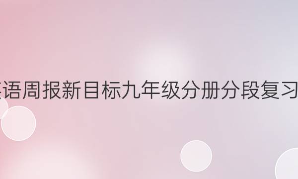 2022英语周报新目标九年级分册分段复习24答案