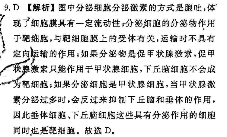 2021-2022八年级英语周报新目标44答案