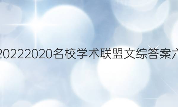 20222020名校学术联盟文综答案六