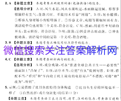 衡中同卷2020－2021数学分科综合卷A图片