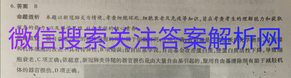 2021ˮо¸߿4ͼƬ