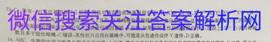 2021ˮ о ȫIII ͼƬ