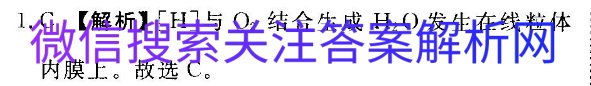 ˮģоӢͼƬ
