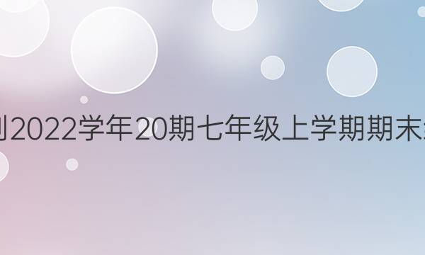 英语周报2021-2022学年20期七年级上学期期末综合测试题答案