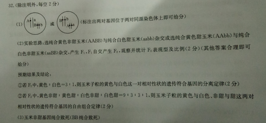 2022广州英语周报九年级下册第28期答案