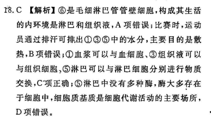 2019~2022英语周报第十二期答案