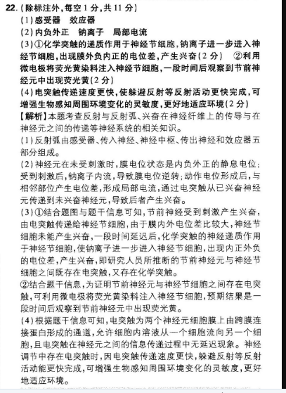 英语周报2021-2022七年级下册38答案