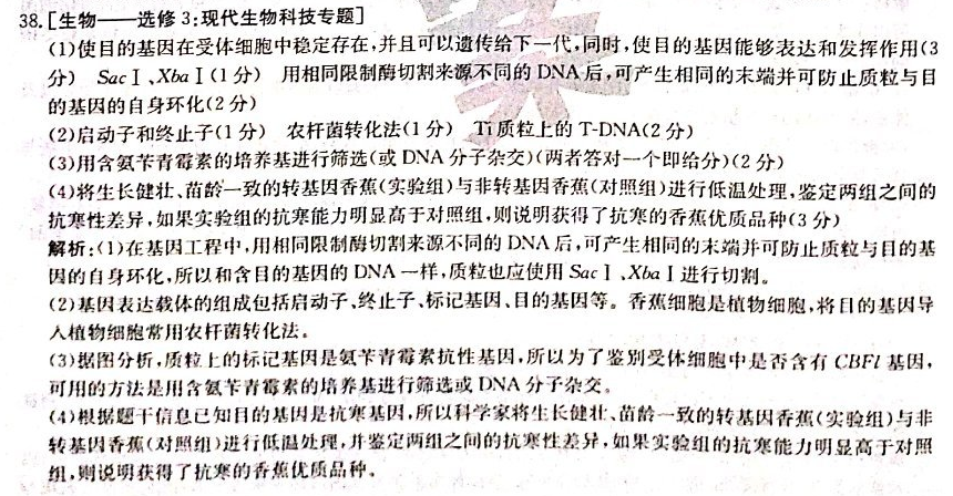 2022英语周报八年级新目标第44答案