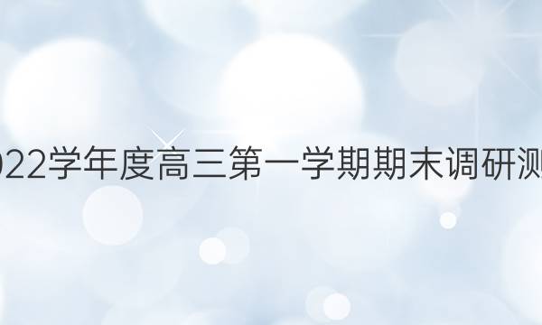 宣城市2021-2022学年度高三第一学期期末调研测试文科数学答案