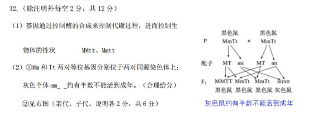 2018一2022英语周报 八年级 新目标 4答案