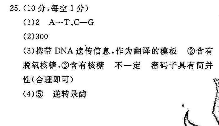 英语周报 2018-2022 九年级 49答案