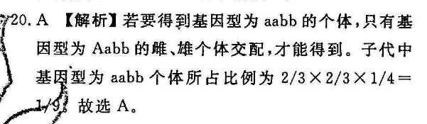 2022英语周报高一综合测试题第9期答案