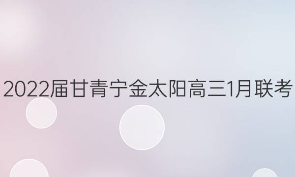 2022届甘青宁金太阳高三1月联考(标识)理科数学试题答案