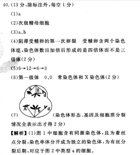 2021-2022学年英语周报第32期答案