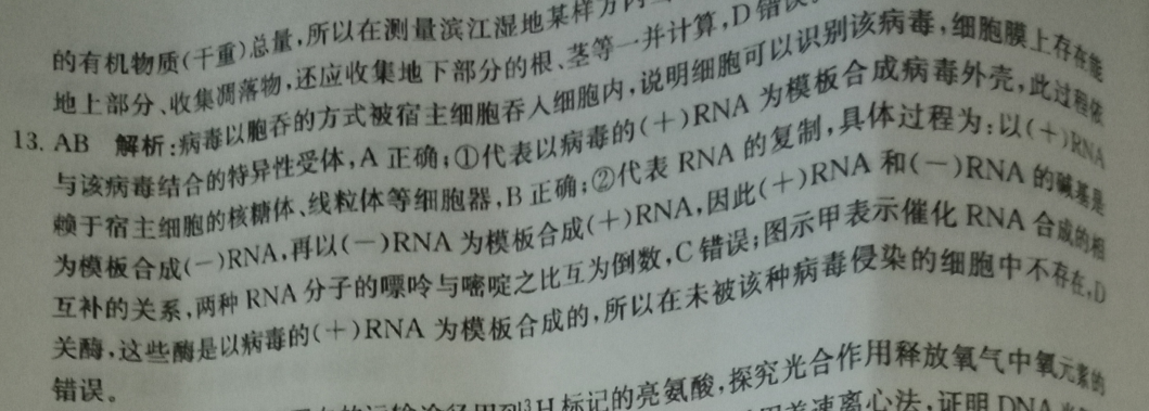 英语周报第33期初一下学期。答案