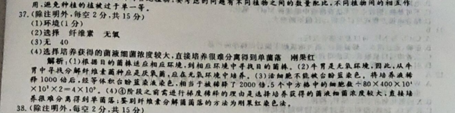 2019到2022英语周报外研版34期答案