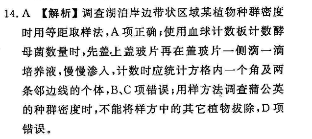 2018-2022英语周报七年级17期答案