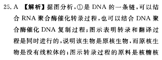 英语周报2021-2022高三第7期答案