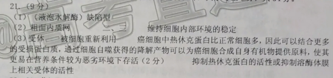 7年级2021-2022英语周报答案汇总