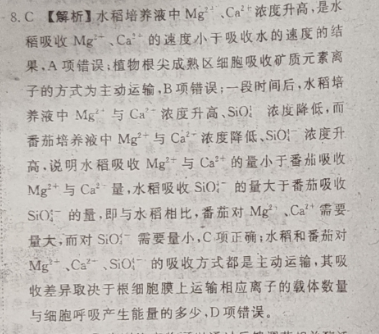 image.png@!test