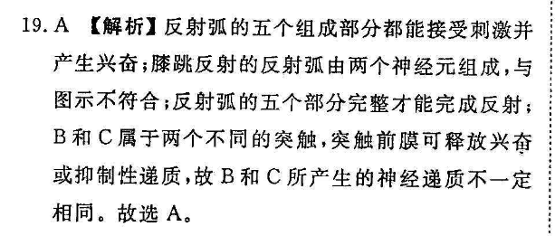 2022英语周报 高一阅读11期答案