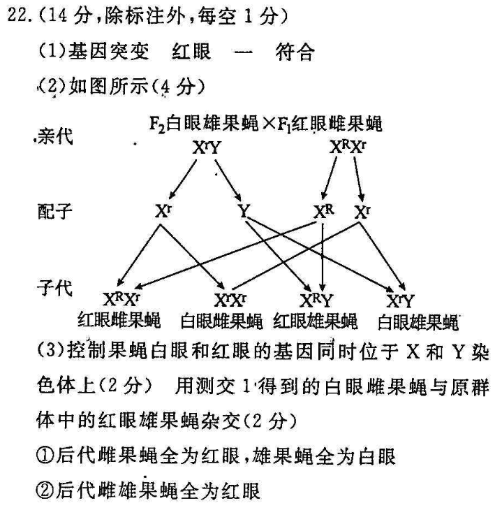 2021-2022高一英语周报新课程28期答案