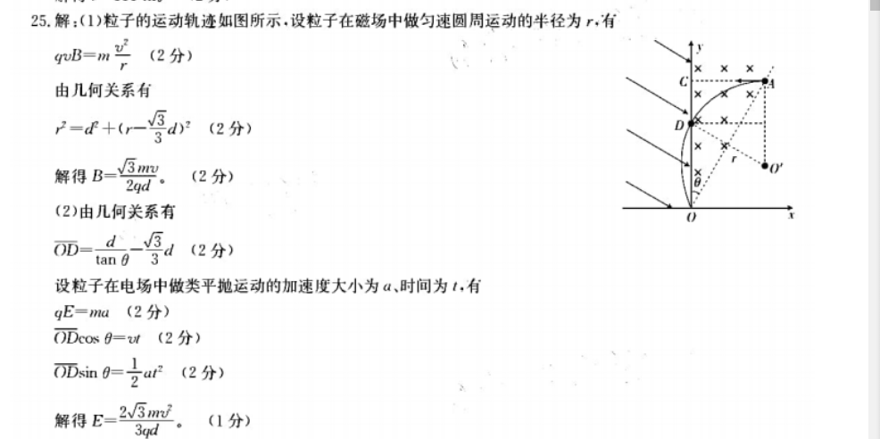 英语周报2021-2022七年级31期答案