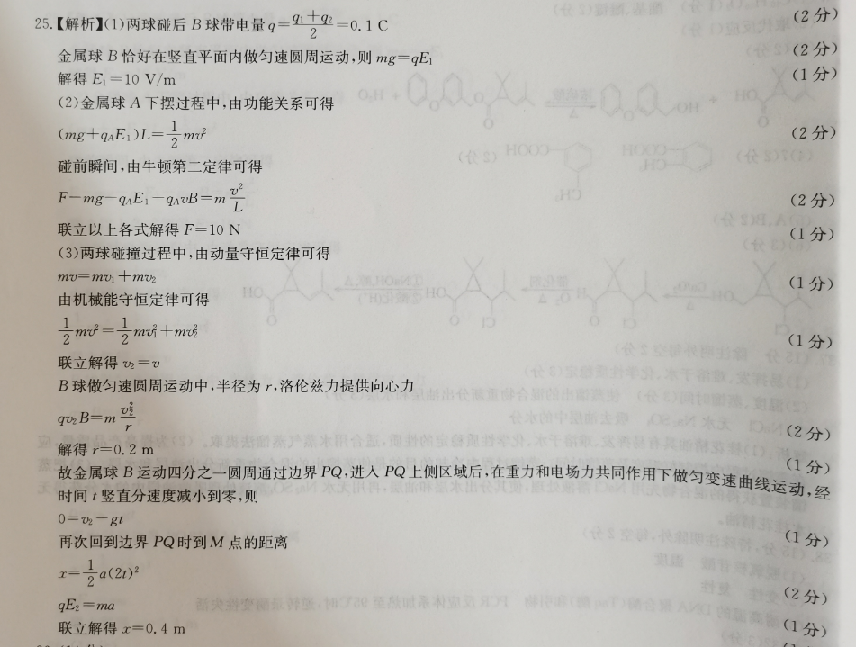 2022-2023 英语周报 七年级 牛津NJS 13答案