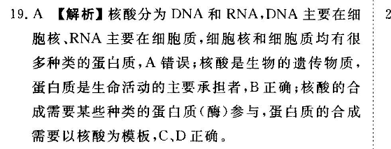 2022高一英语必修一外研版第七期周报答案