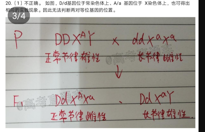 高一英语外研经典大字版综合周报答案第20期