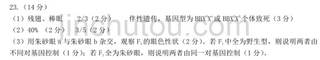 image.png@!test