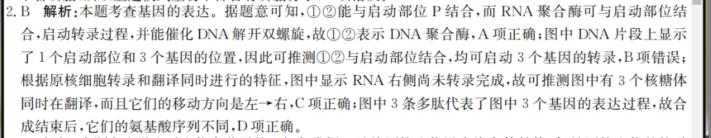 2022外研版英语周报第36期答案