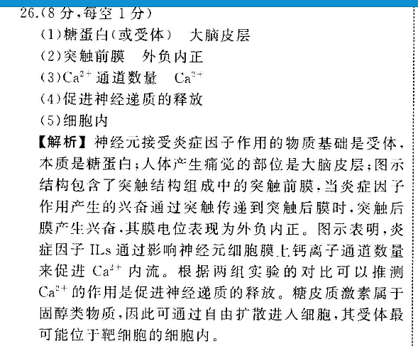 2021-2022 英语周报 高考 XN 16答案