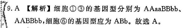 image.png@!test