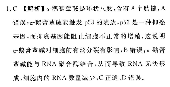 广州版英语周报第29期答案