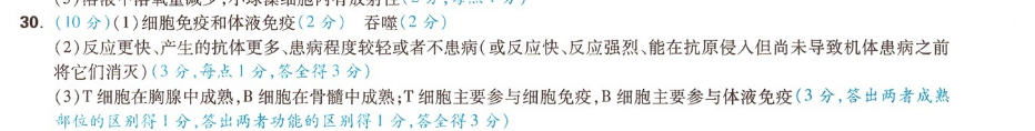 image.png@!test