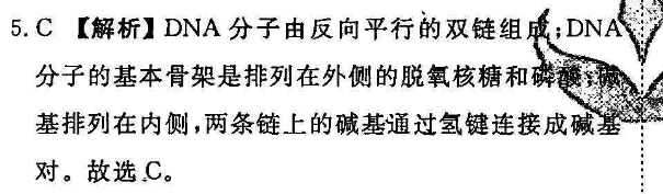 2022英语周报 0 八年级 外研 11答案