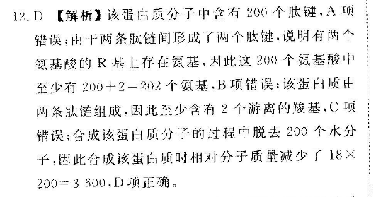 2021-2022 英语周报 高三 课标 28答案