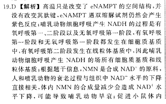 2022 英语周报 八年级 AHW 33答案