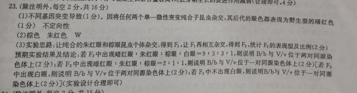 2019一2022英语周报八年级答案