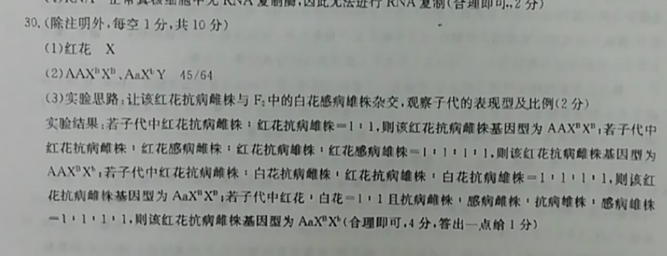 2022英语周报高一三十六答案
