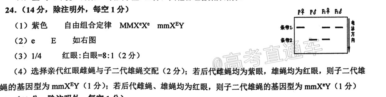 英语周报七年级2022-2022第17期（JYY）答案