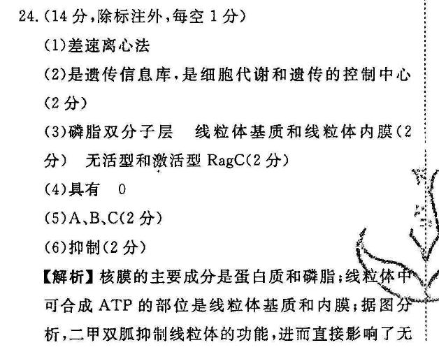 2022高一英语周报下学期53期答案