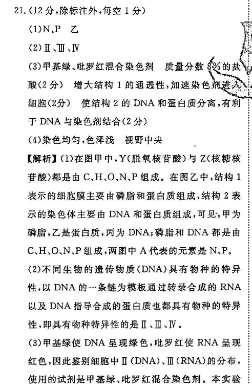 2022英语周报高考外研答案