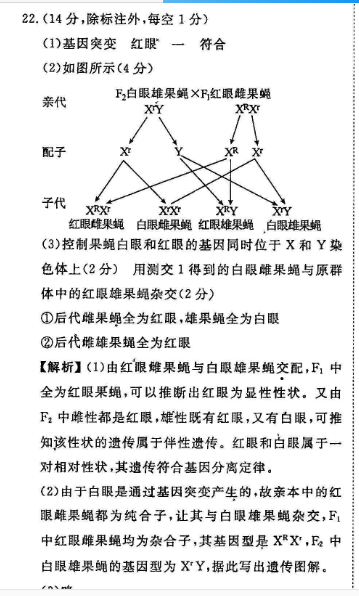 2022英语周报完型专练答案