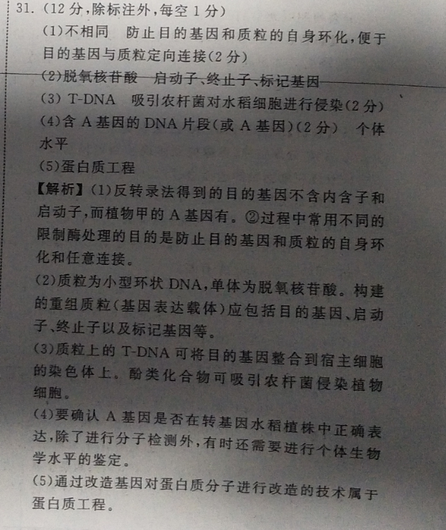 2022ͨѧҵˮƽȼϢϾXKB-D-HN()3ͼƬ