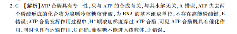 2022高一英语周报第2期答案