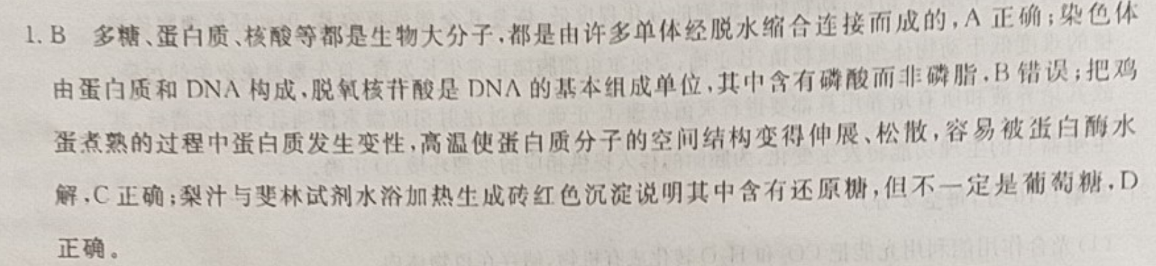 2021-2022 英语周报 高考 GZ 4答案